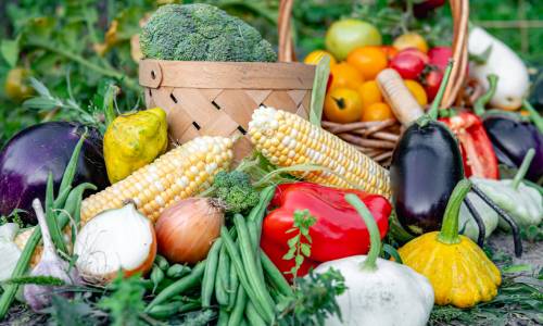 Agriculture